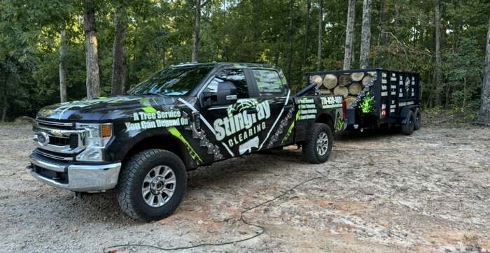 Stingray's wrapped black and green pickup