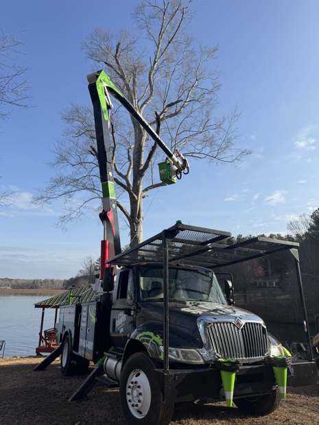 Bucket truck taking down a dead tree next to a house