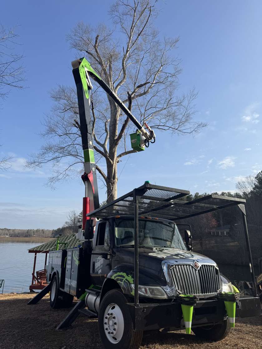 Bucket truck taking down a dead tree next to a house