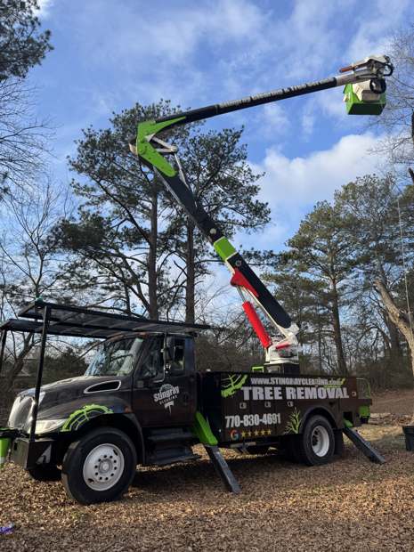 Stingray bucket truck with a climber in the basket taking down a tall pine