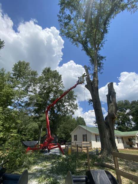 Stingray bucket truck working on a tree beside a house