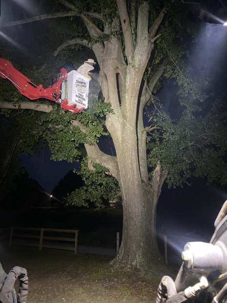 Spider lift under work lights on a night removal