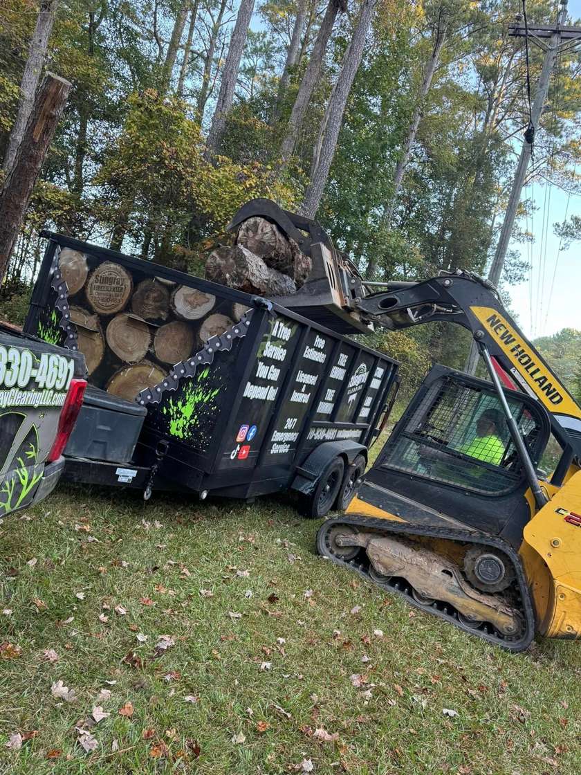 Skid steer loading logs into a dump trailer