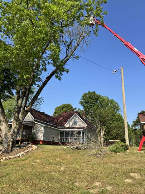 Spider lift set up between two houses for a removal