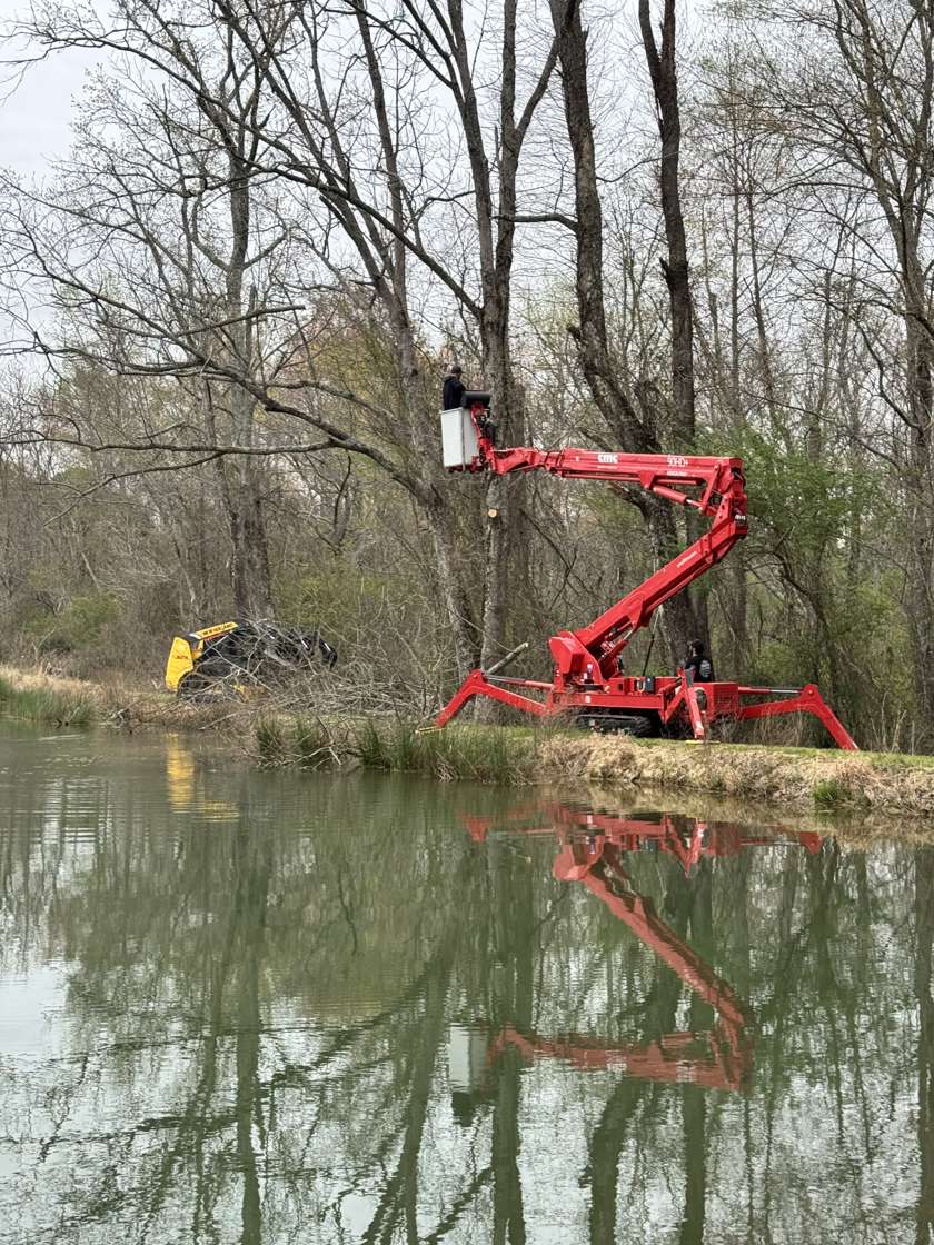Spider lift reaching over a pond to work on a tree
