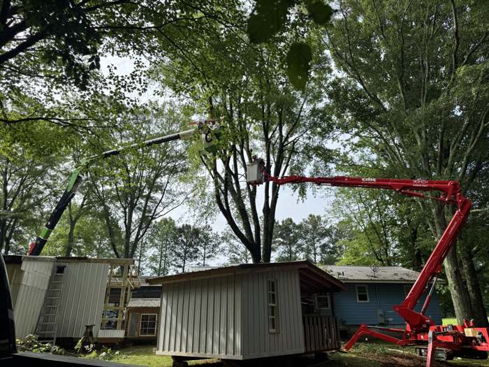 Spider lift reaching over a shed to a tree behind the house