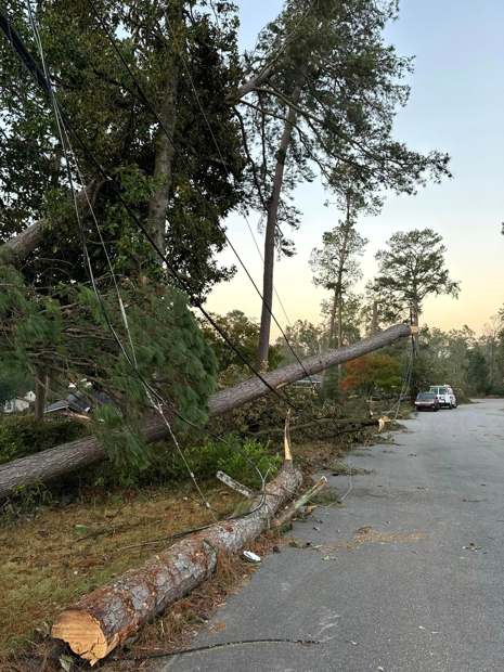 Storm-broken tree lying across a road