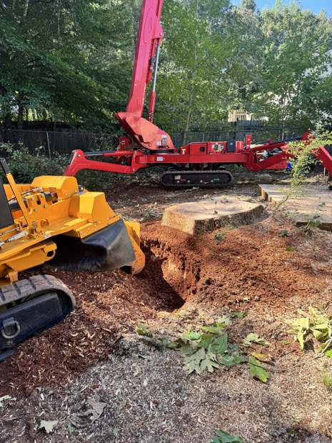Stump grinder working next to the spider lift after a removal