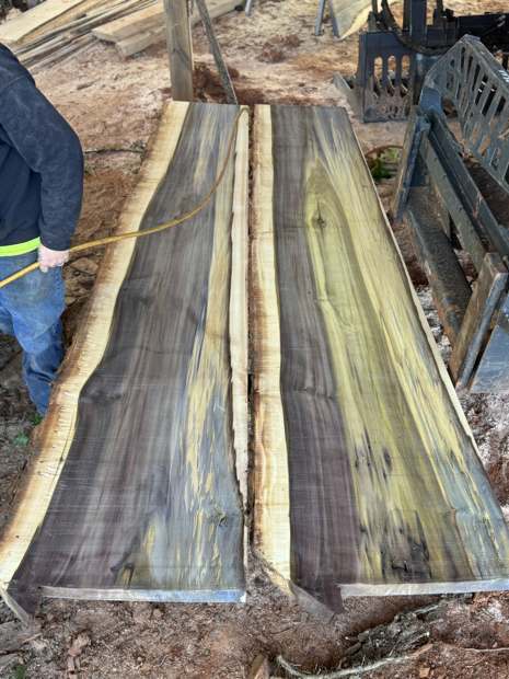 Dark slabs milled from a removed tree, laid out on the ground
